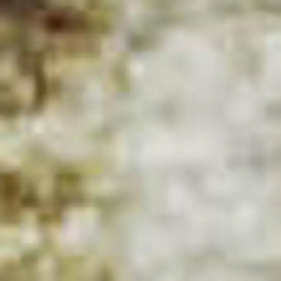 Brown And Beige Geometric Washable Area Rug With UV Protection Photo 1