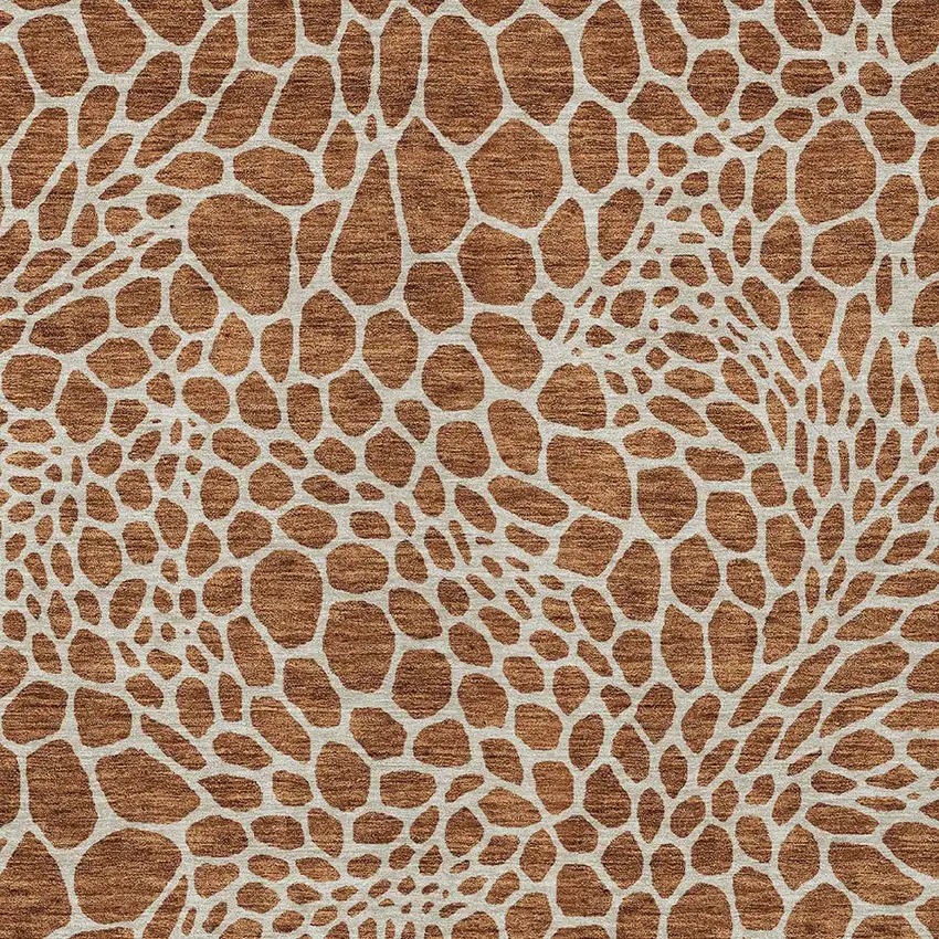 Brown And Beige Geometric Washable Indoor Outdoor Area Rug Photo 5