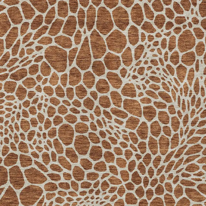 Brown And Beige Geometric Washable Indoor Outdoor Area Rug Photo 7