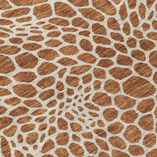 Brown And Beige Geometric Washable Indoor Outdoor Area Rug Photo 6