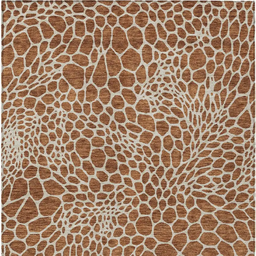 Brown And Beige Geometric Washable Indoor Outdoor Area Rug Photo 8