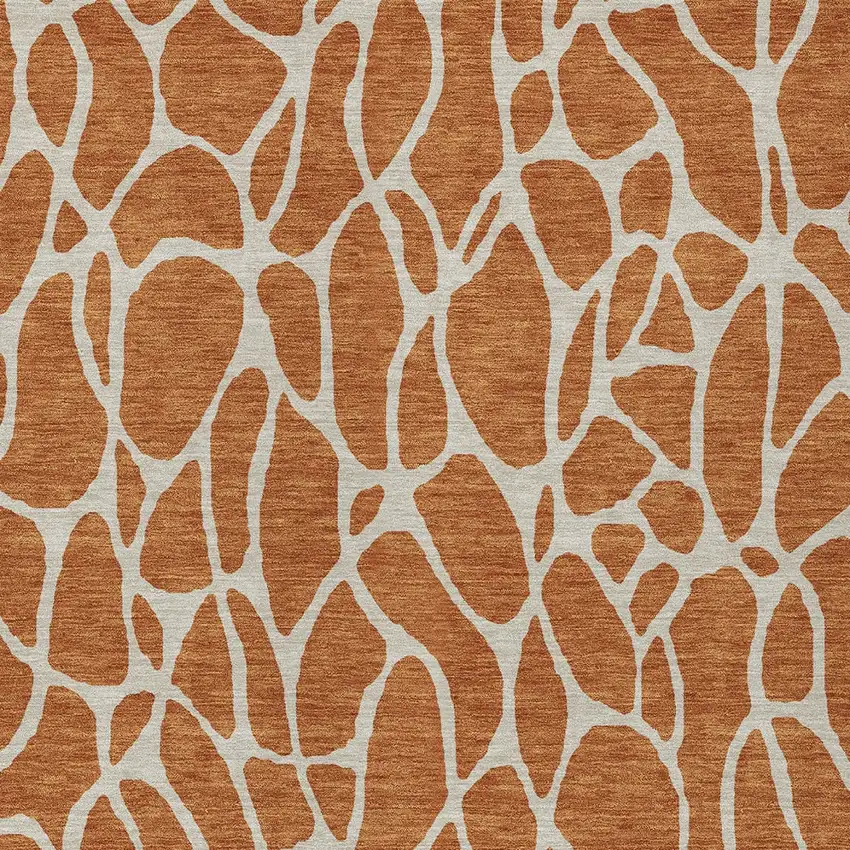 Brown And Beige Geometric Washable Indoor Outdoor Area Rug Photo 6