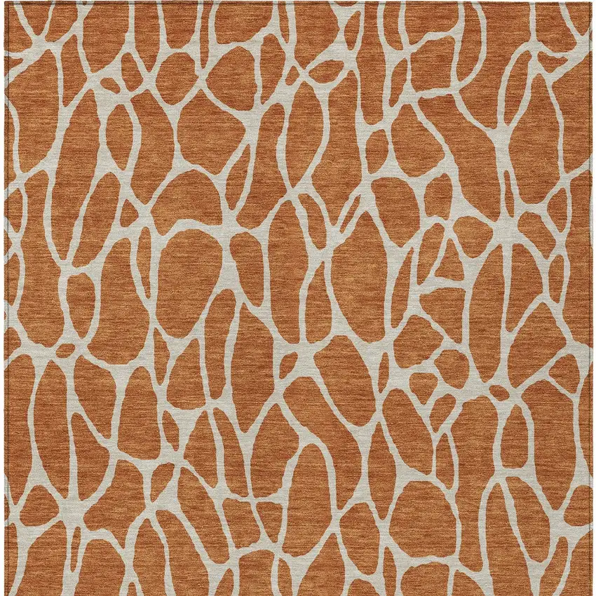 Brown And Beige Geometric Washable Indoor Outdoor Area Rug Photo 6