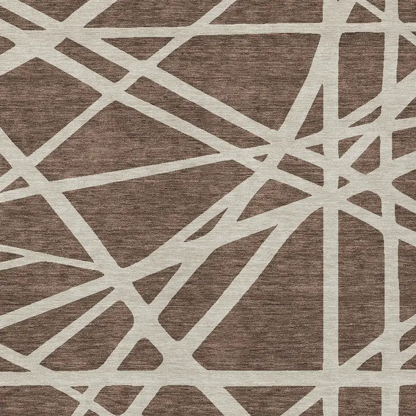 Brown And Beige Geometric Washable Indoor Outdoor Area Rug Photo 6