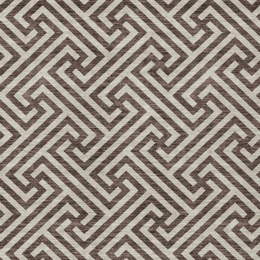 Brown And Beige Geometric Washable Indoor Outdoor Area Rug Photo 6