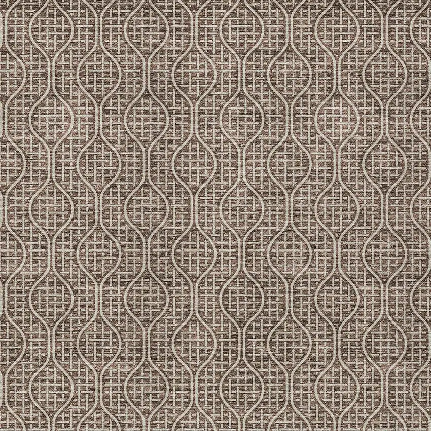 Brown And Beige Geometric Washable Indoor Outdoor Area Rug Photo 6