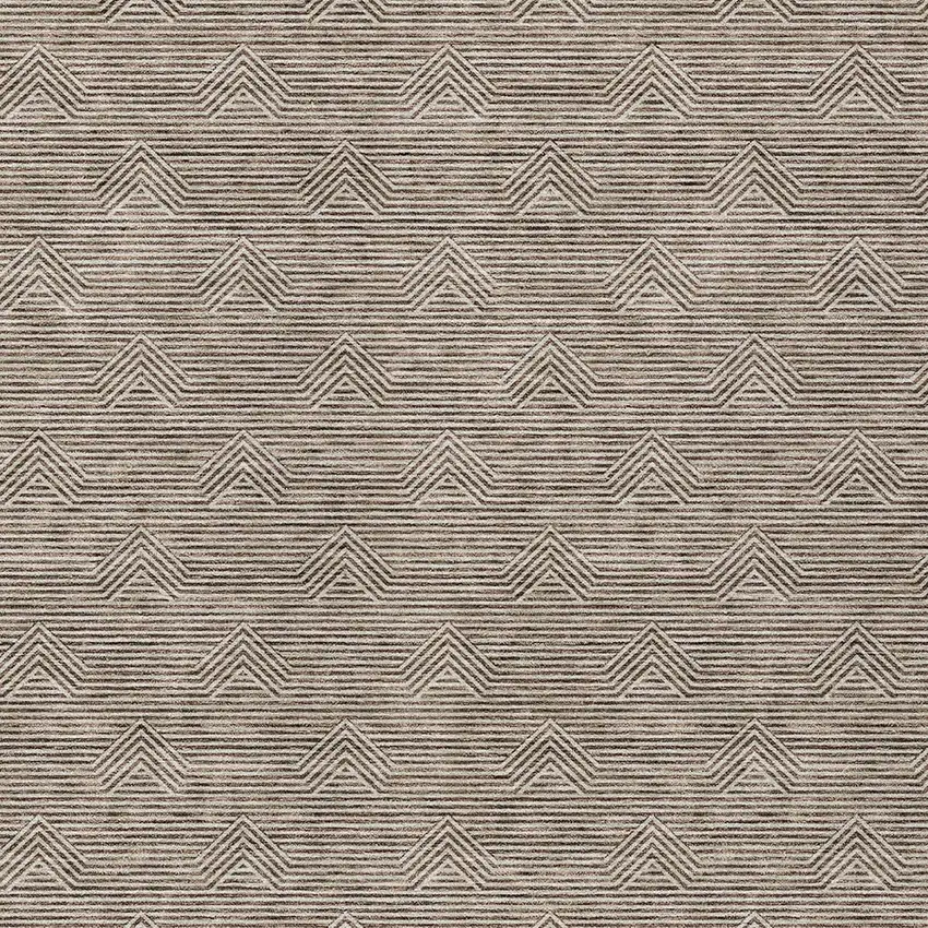 Brown And Beige Geometric Washable Indoor Outdoor Area Rug Photo 6