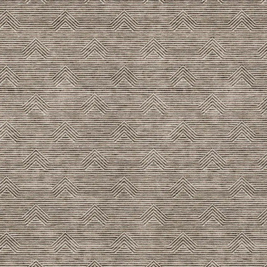 Brown And Beige Geometric Washable Indoor Outdoor Area Rug Photo 6