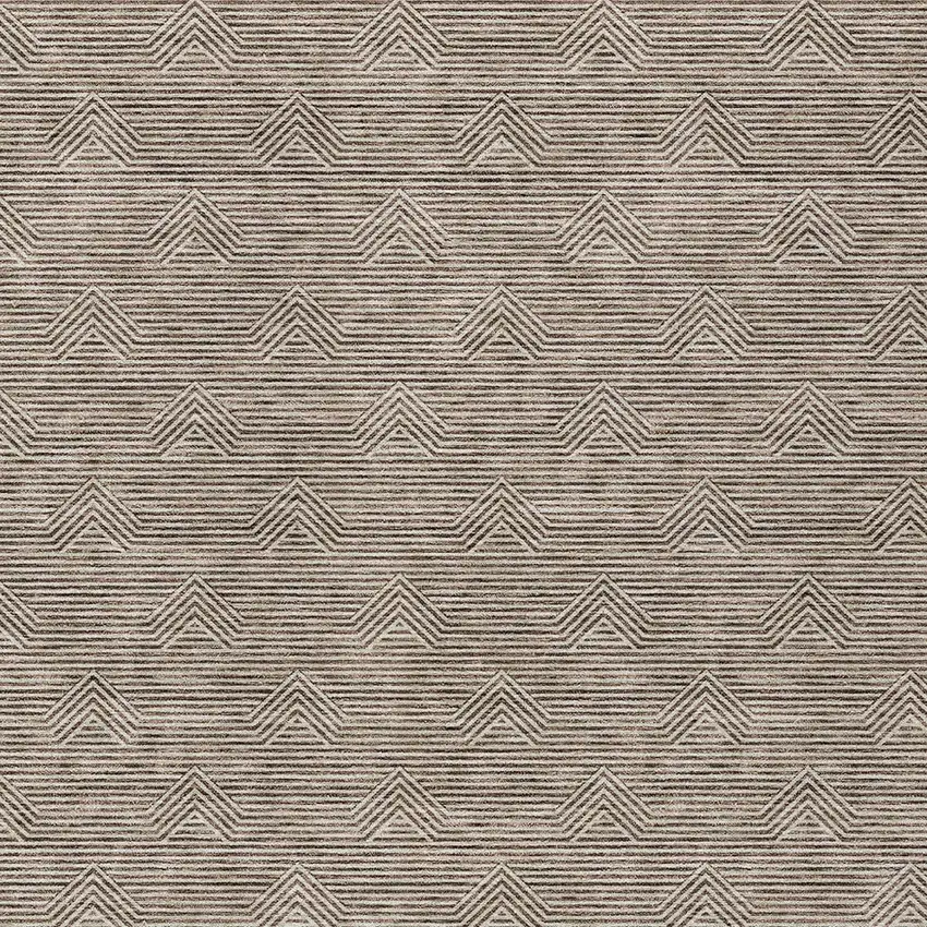 Brown And Beige Geometric Washable Indoor Outdoor Area Rug Photo 6