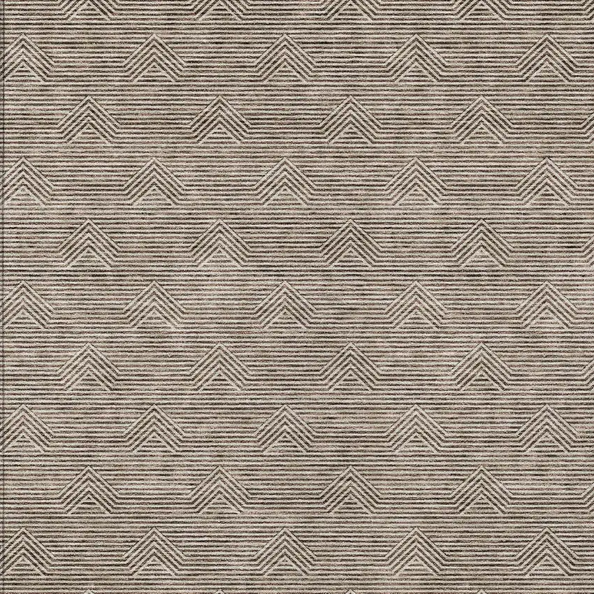 Brown And Beige Geometric Washable Indoor Outdoor Area Rug Photo 6