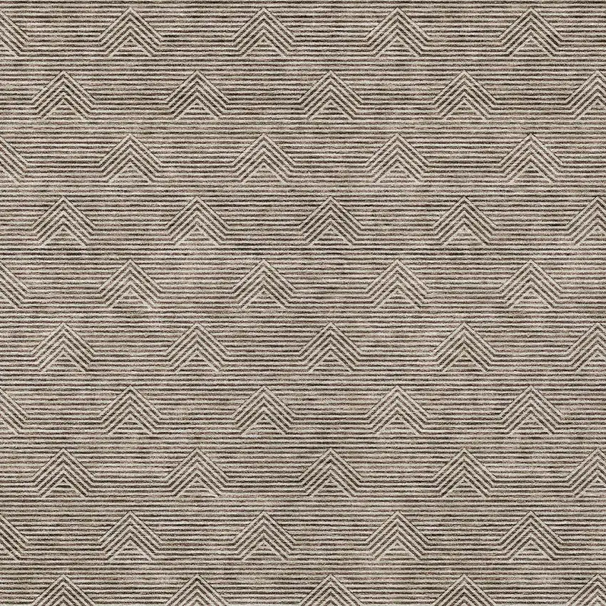 Brown And Beige Geometric Washable Indoor Outdoor Area Rug Photo 6