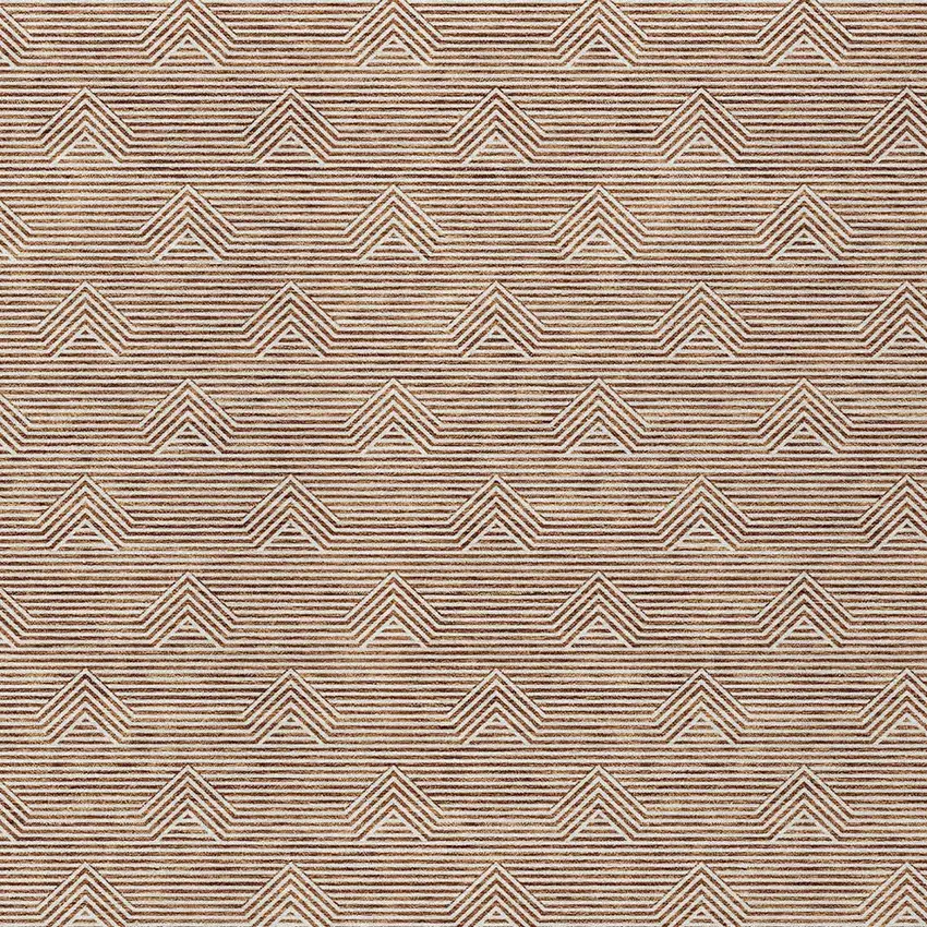 Brown And Beige Geometric Washable Indoor Outdoor Area Rug Photo 7