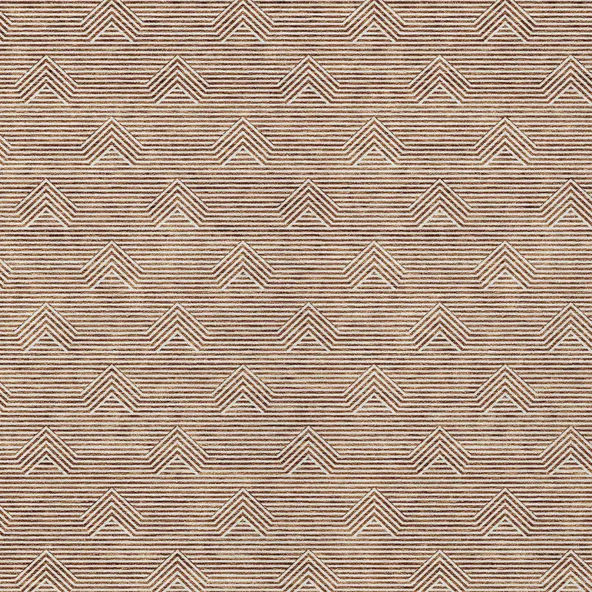Brown And Beige Geometric Washable Indoor Outdoor Area Rug Photo 7