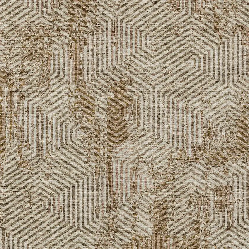 Brown And Beige Geometric Washable Indoor Outdoor Area Rug Photo 7