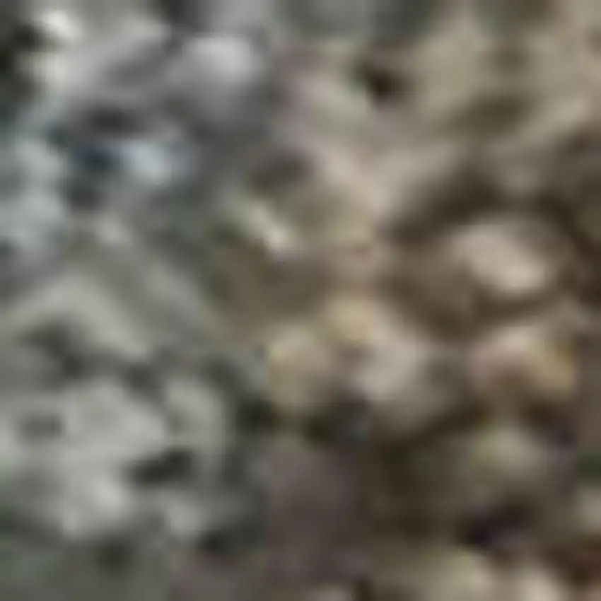 Brown And Beige Oriental Washable Area Rug With UV Protection Photo 1