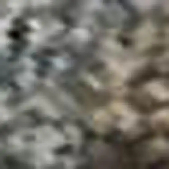 Brown And Beige Oriental Washable Area Rug With UV Protection Photo 1