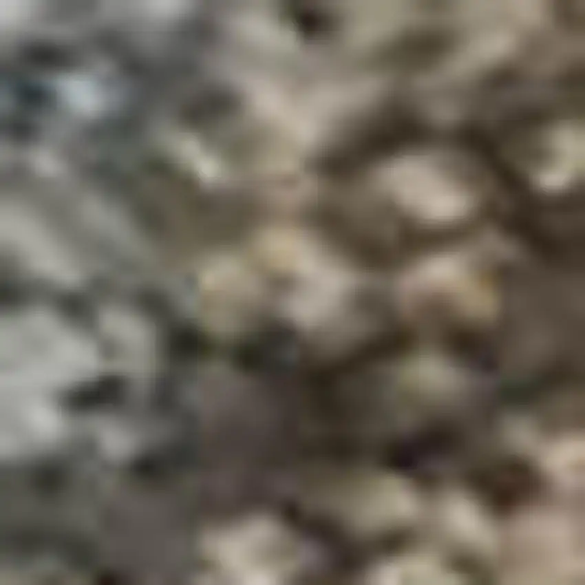 Brown And Beige Oriental Washable Area Rug With UV Protection Photo 1