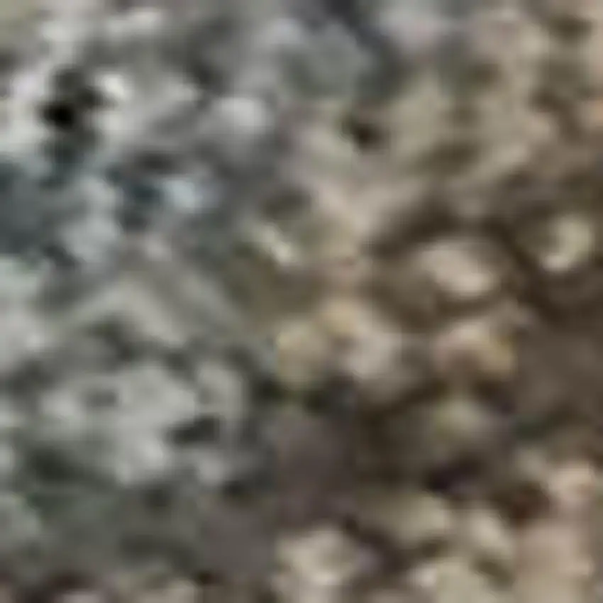 Brown And Beige Oriental Washable Area Rug With UV Protection Photo 3