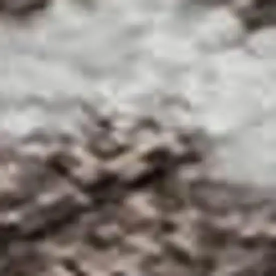 Brown And Beige Striped Washable Area Rug With UV Protection Photo 1