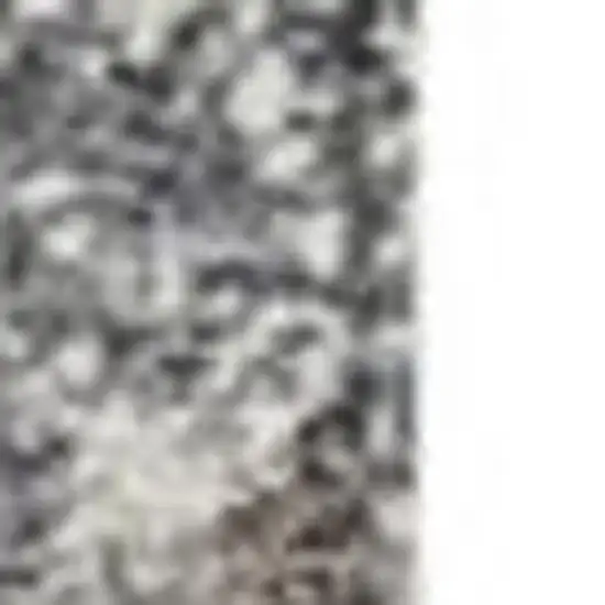 Brown And Charcoal Geometric Washable Indoor Outdoor Area Rug Photo 3