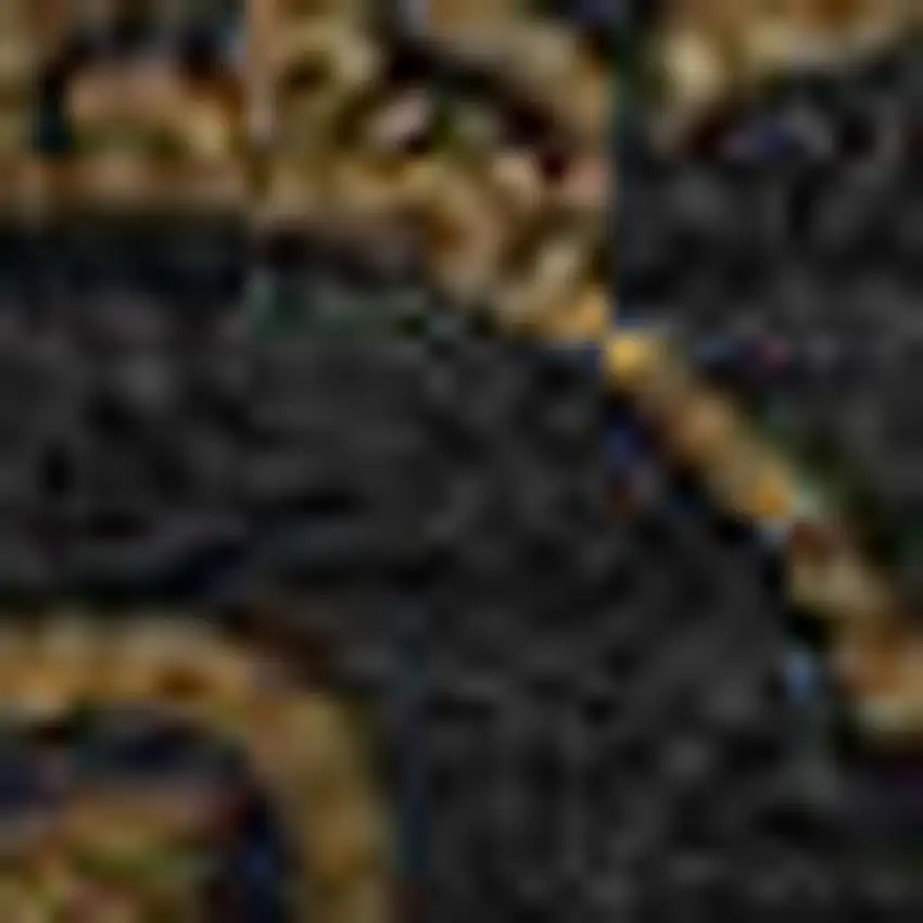 Brown And Charcoal Medallion Washable Area Rug With UV Protection Photo 3