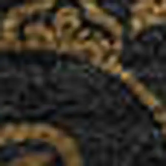 Brown And Charcoal Medallion Washable Area Rug With UV Protection Photo 3