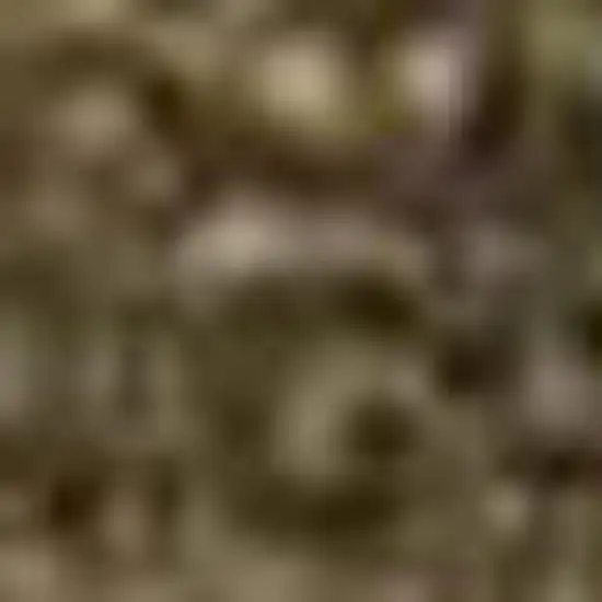 Brown And Ivory Abstract Washable Area Rug With UV Protection Photo 4