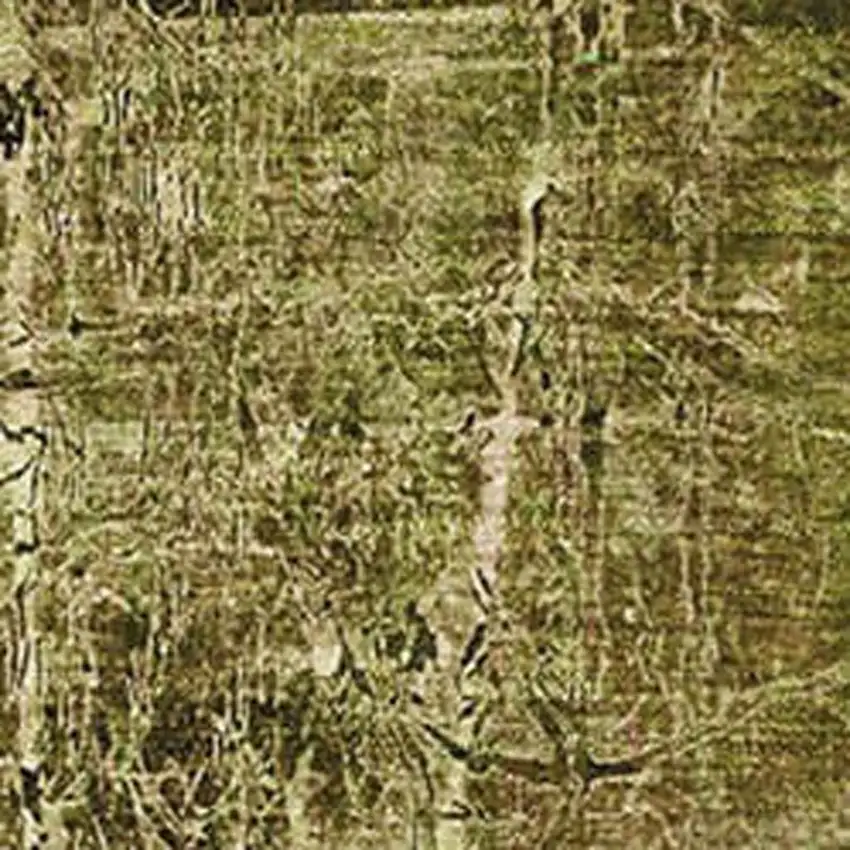 Brown And Ivory Abstract Washable Area Rug With UV Protection Photo 3