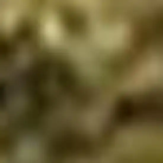 Brown And Ivory Abstract Washable Area Rug With UV Protection Photo 4