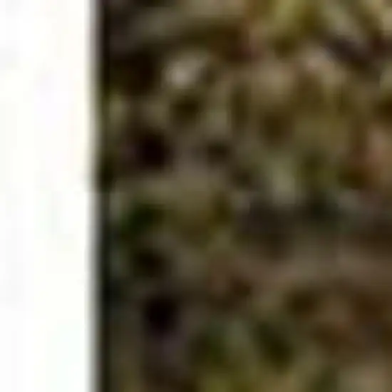 Brown And Ivory Abstract Washable Area Rug With UV Protection Photo 4