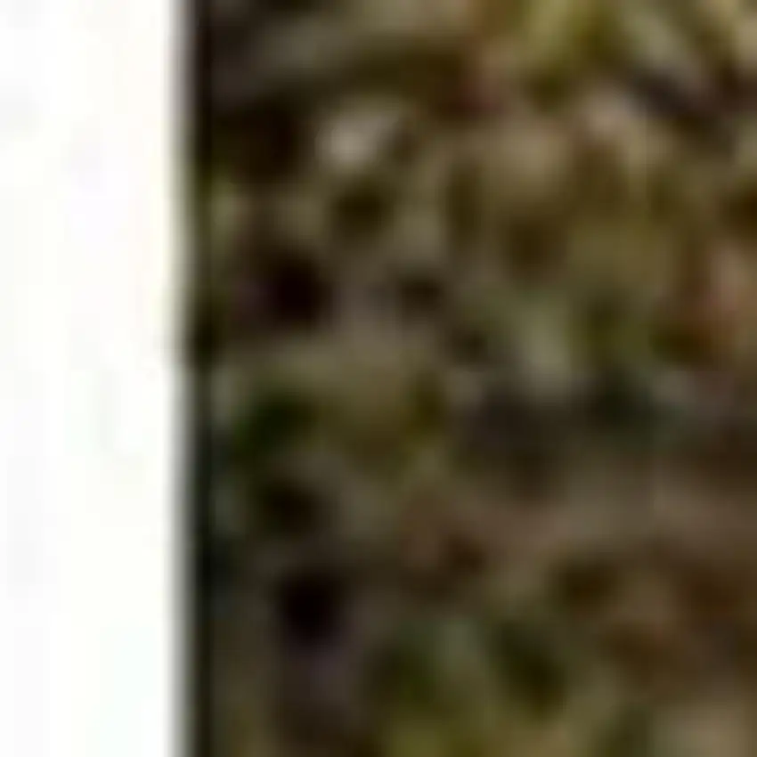 Brown And Ivory Abstract Washable Area Rug With UV Protection Photo 4