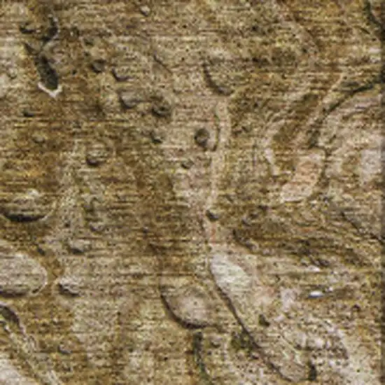 Brown And Ivory Abstract Washable Area Rug With UV Protection Photo 3