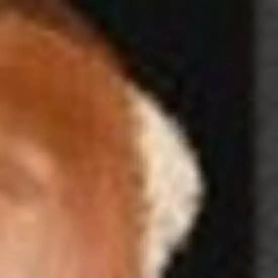 Black Green And Orange Floral Washable Area Rug Photo 5