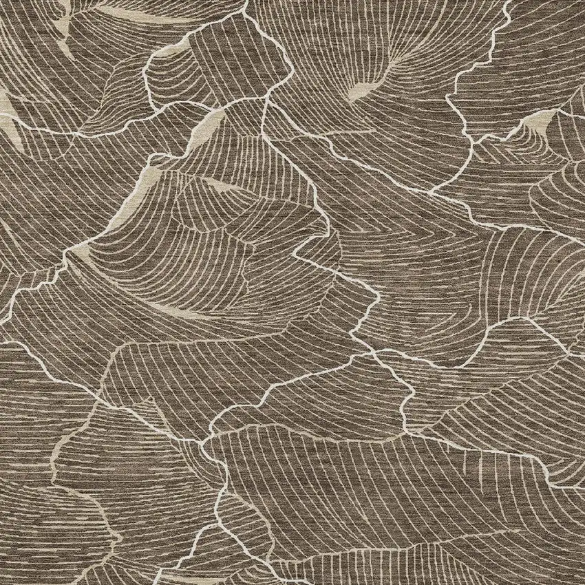 Brown And Ivory Abstract Washable Indoor Outdoor Area Rug Photo 4