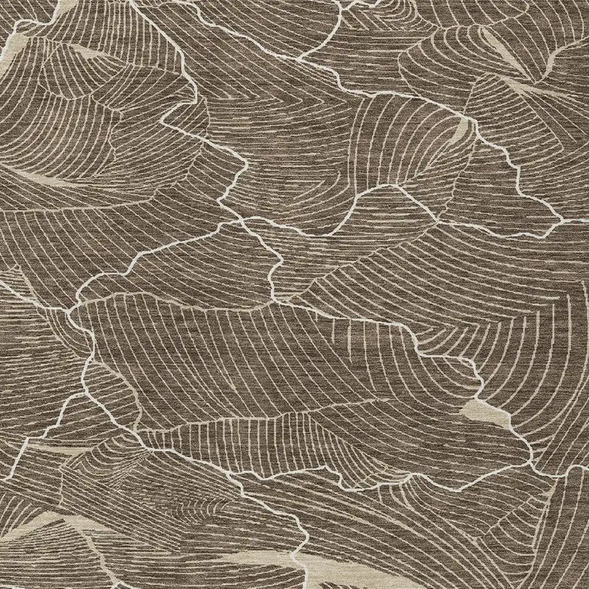 Brown And Ivory Abstract Washable Indoor Outdoor Area Rug Photo 5