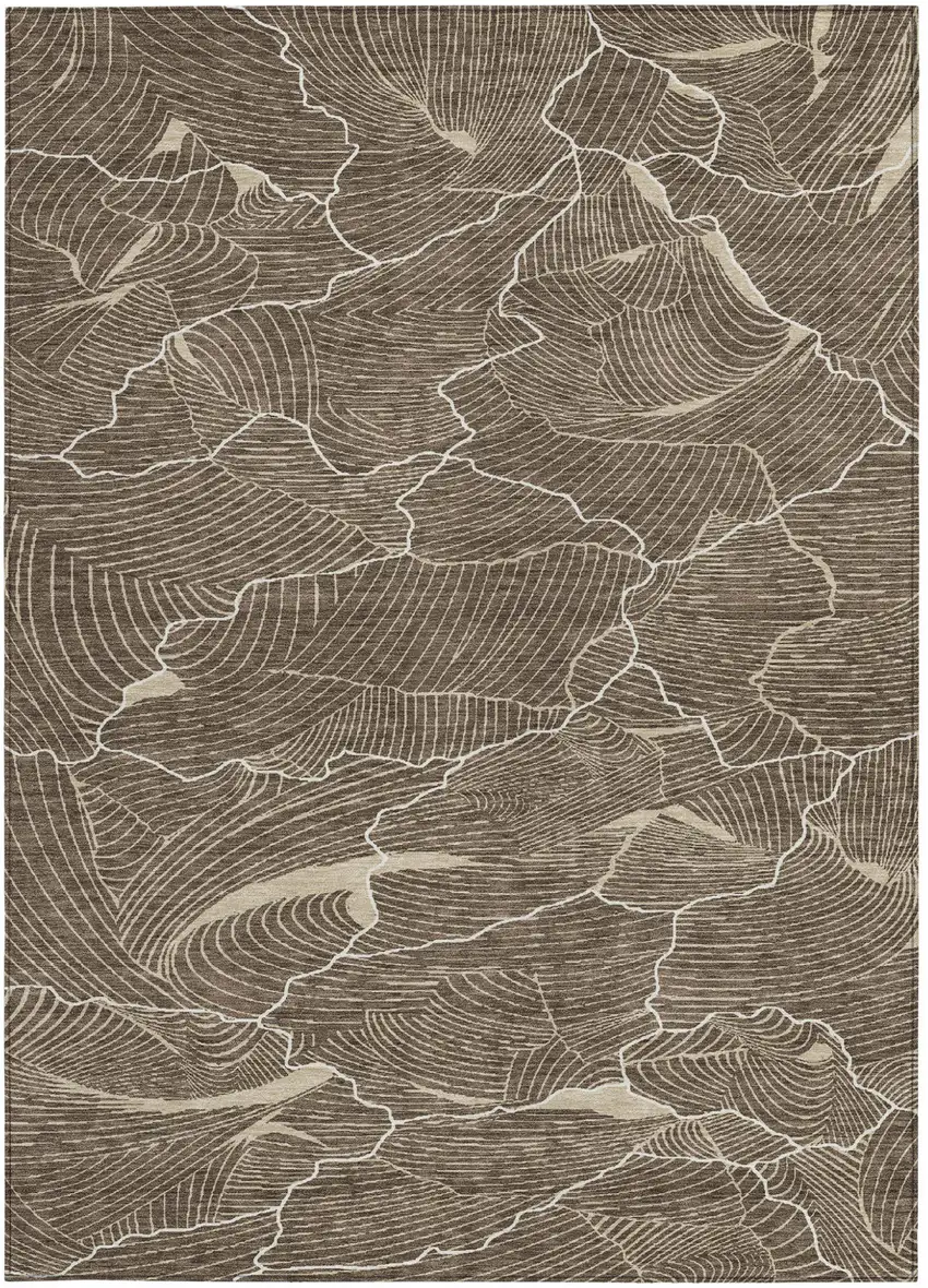 Brown And Ivory Abstract Washable Indoor Outdoor Area Rug Photo 5