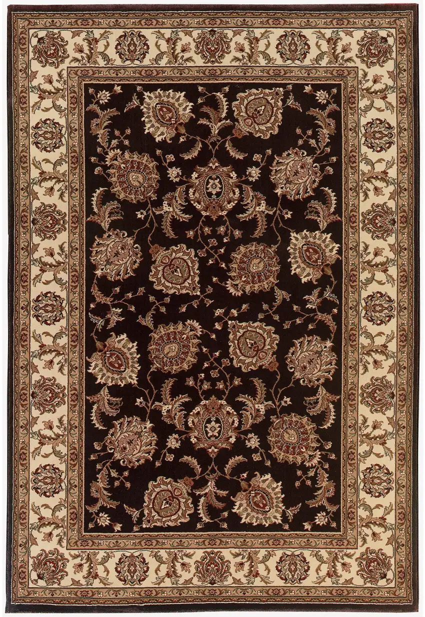Brown And Ivory Oriental Area Rug Photo 4