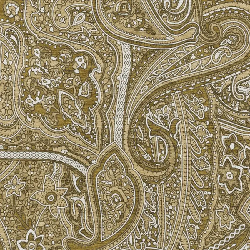 Brown And Ivory Paisley Washable Area Rug With UV Protection Photo 6