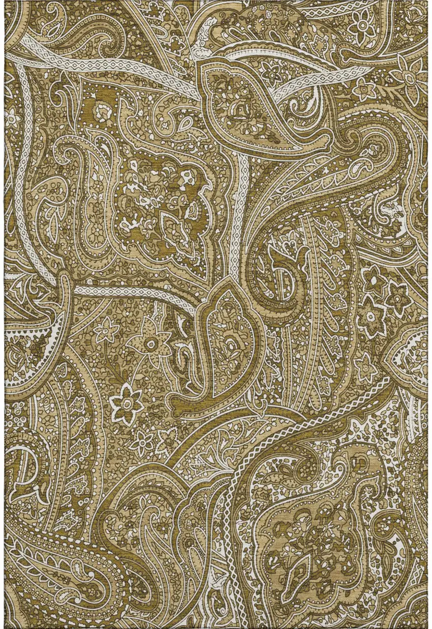 Brown And Ivory Paisley Washable Area Rug With UV Protection Photo 1