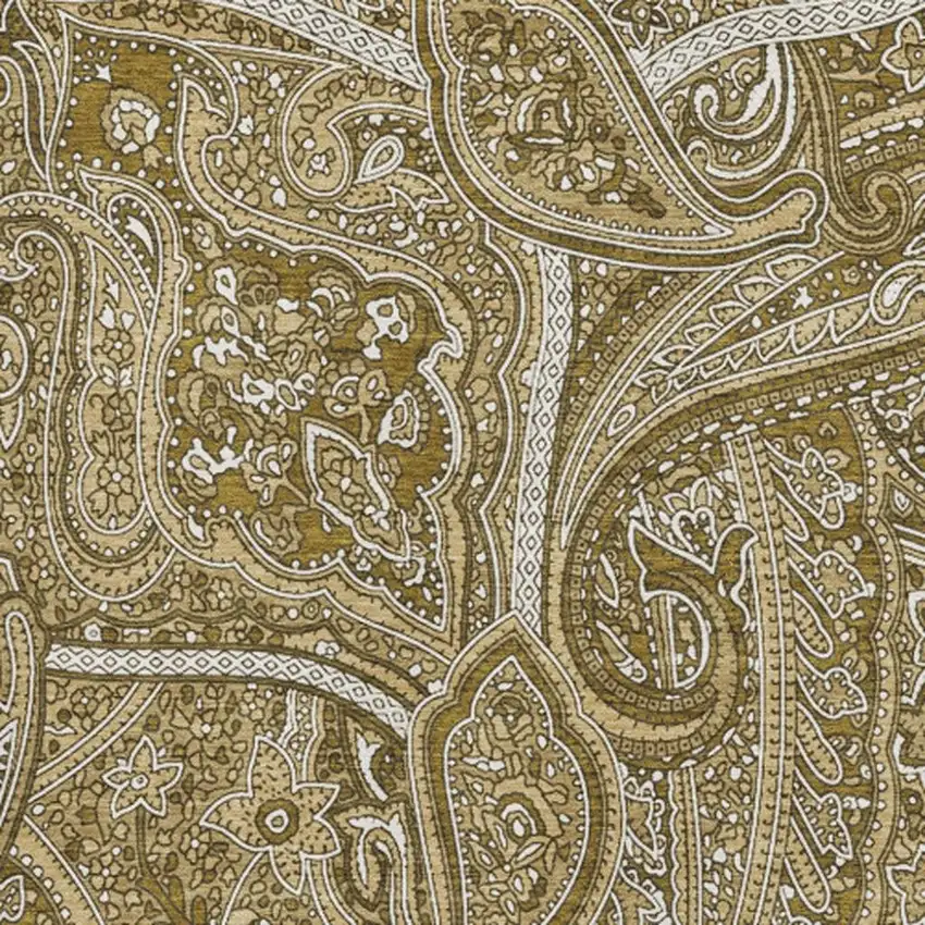 Brown And Ivory Paisley Washable Area Rug With UV Protection Photo 3