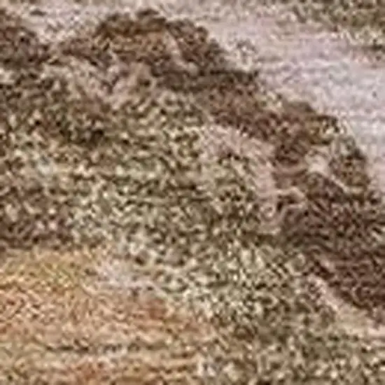 Brown And Silver Abstract Washable Indoor Outdoor Area Rug Photo 3