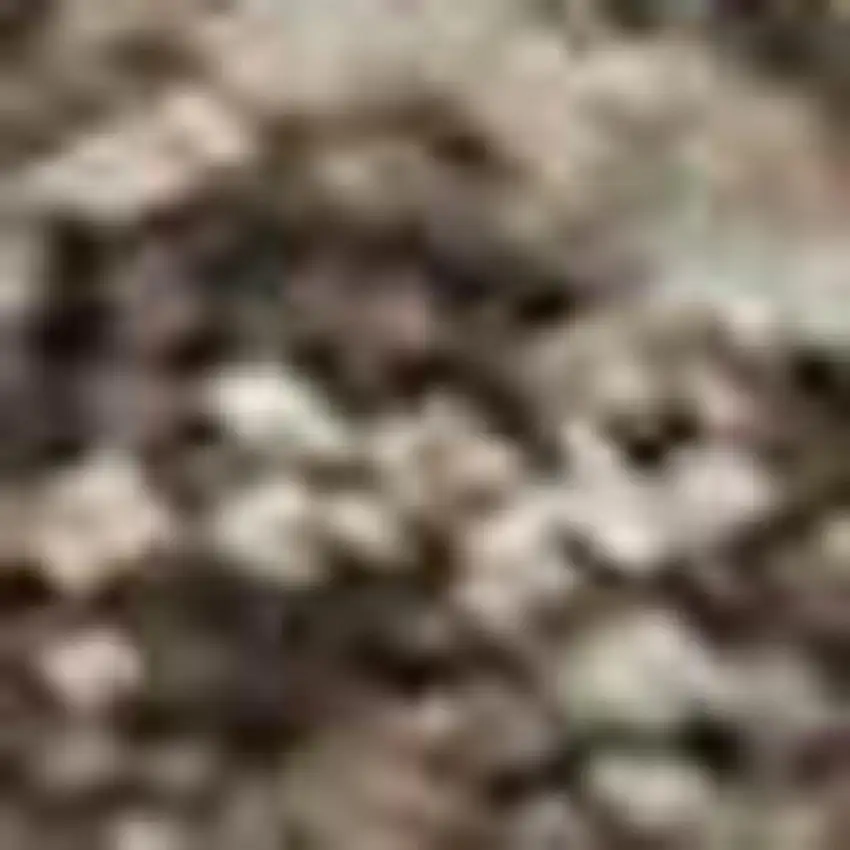 Brown And Taupe Abstract Washable Area Rug With UV Protection Photo 2