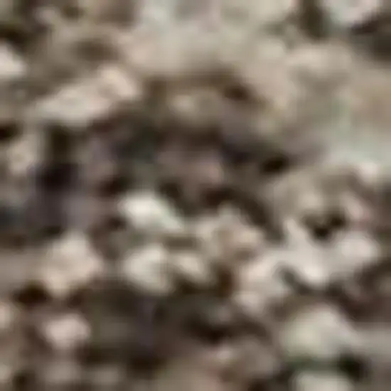 Brown And Taupe Abstract Washable Area Rug With UV Protection Photo 2