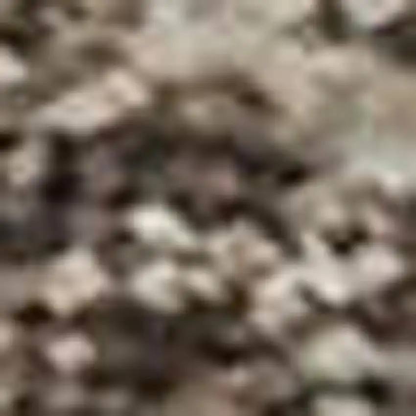 Brown And Taupe Abstract Washable Area Rug With UV Protection Photo 2