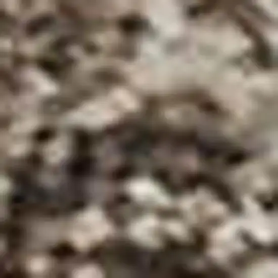 Brown And Taupe Abstract Washable Area Rug With UV Protection Photo 2