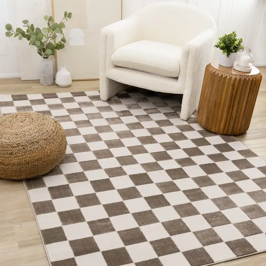 Brown And White Geometric Area Rug Photo 6