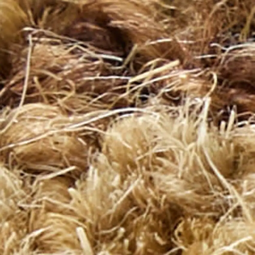 Brown And White Wool Oriental Hand Tufted Area Rug Photo 3