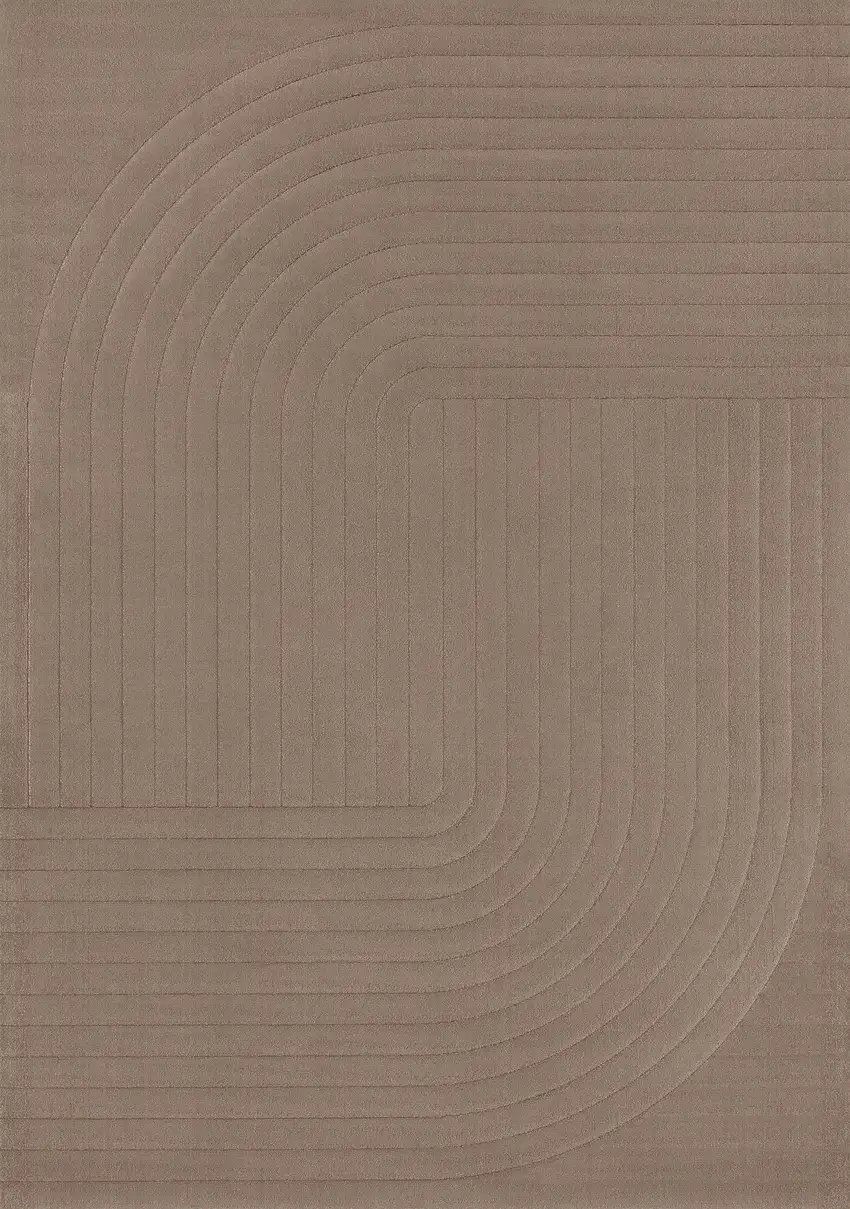 Brown Area Rug Photo 2