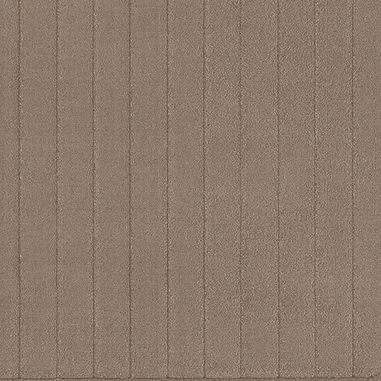 Brown Area Rug Photo 4