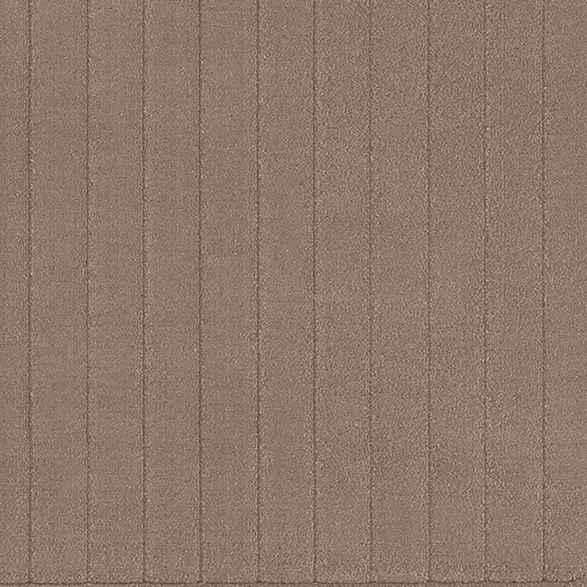 Brown Area Rug Photo 4